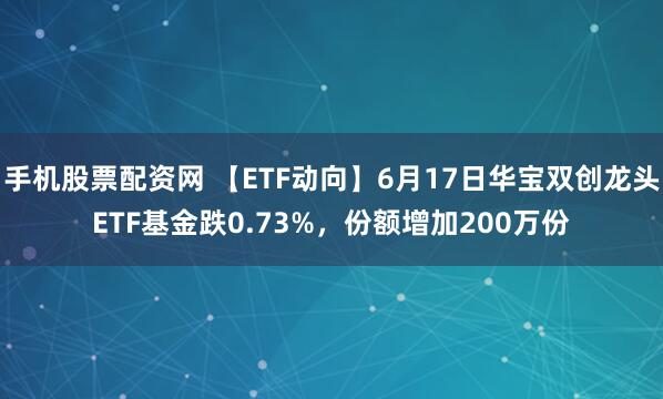 手机股票配资网 【ETF动向】6月17日华宝双创龙头ETF基金跌0.73%，份额增加200万份