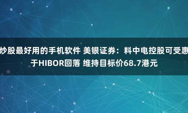 炒股最好用的手机软件 美银证券：料中电控股可受惠于HIBOR回落 维持目标价68.7港元