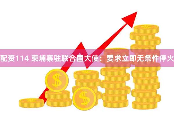 配资114 柬埔寨驻联合国大使：要求立即无条件停火