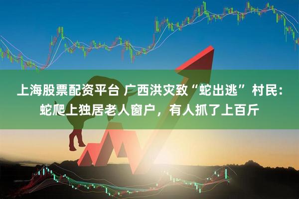 上海股票配资平台 广西洪灾致“蛇出逃” 村民:蛇爬上独居老人窗户,有人抓了上百斤